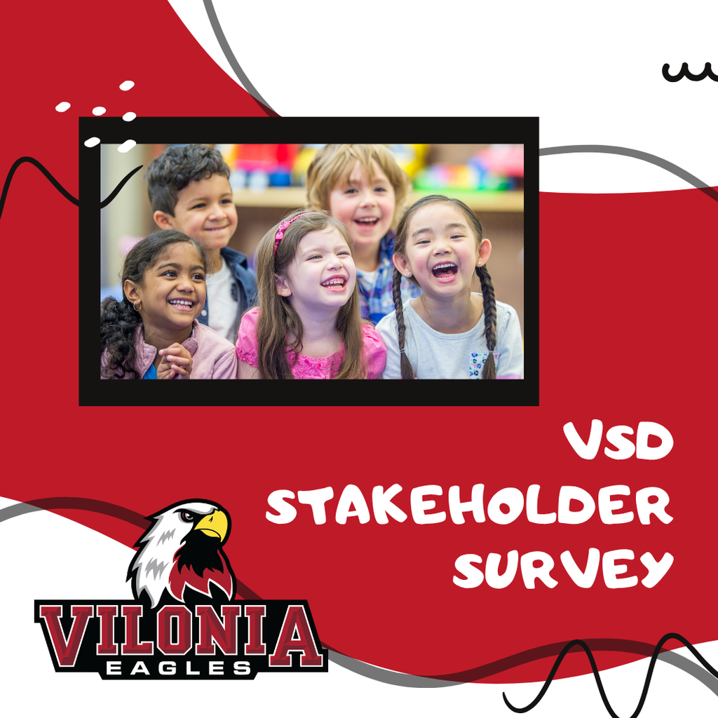 VSD Stakeholder Survey