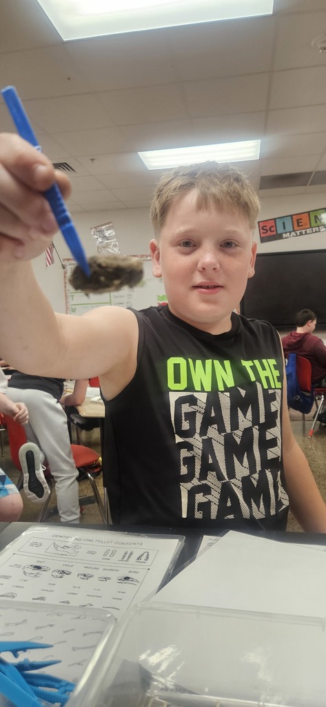 Owl Pellet Dissection Lab