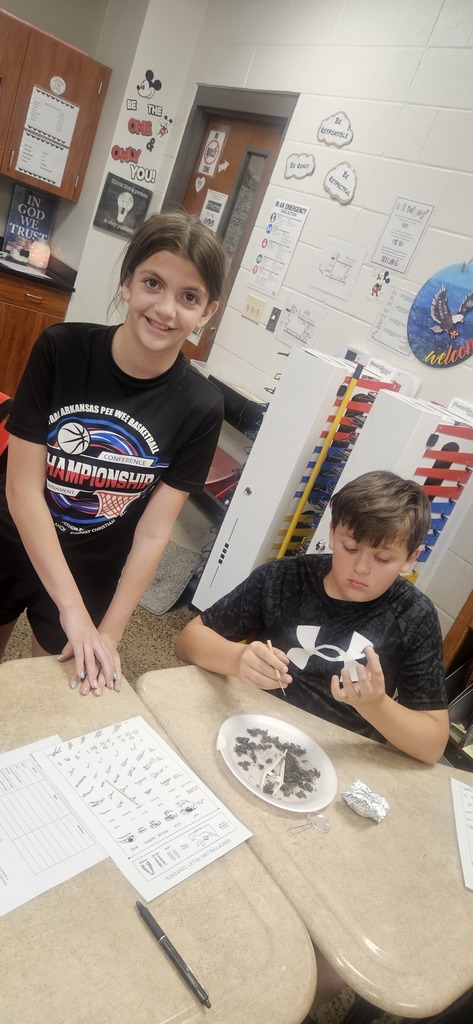 Owl Pellet Dissection Lab