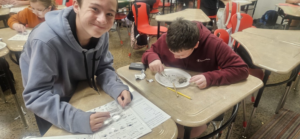 Owl Pellet Dissection Lab