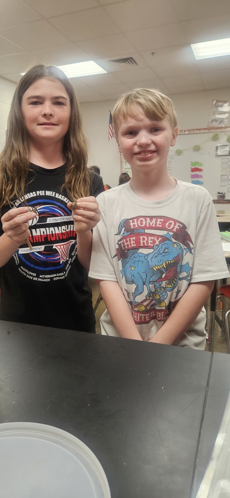 Owl Pellet Dissection Lab