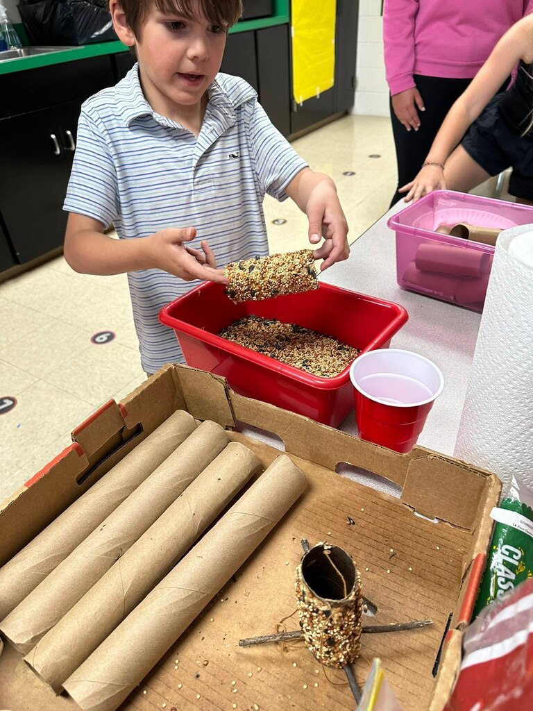 Student rolling tube in bird seed.