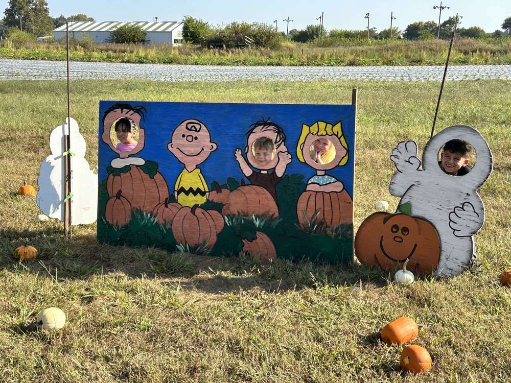 Big Peach Fall Fun