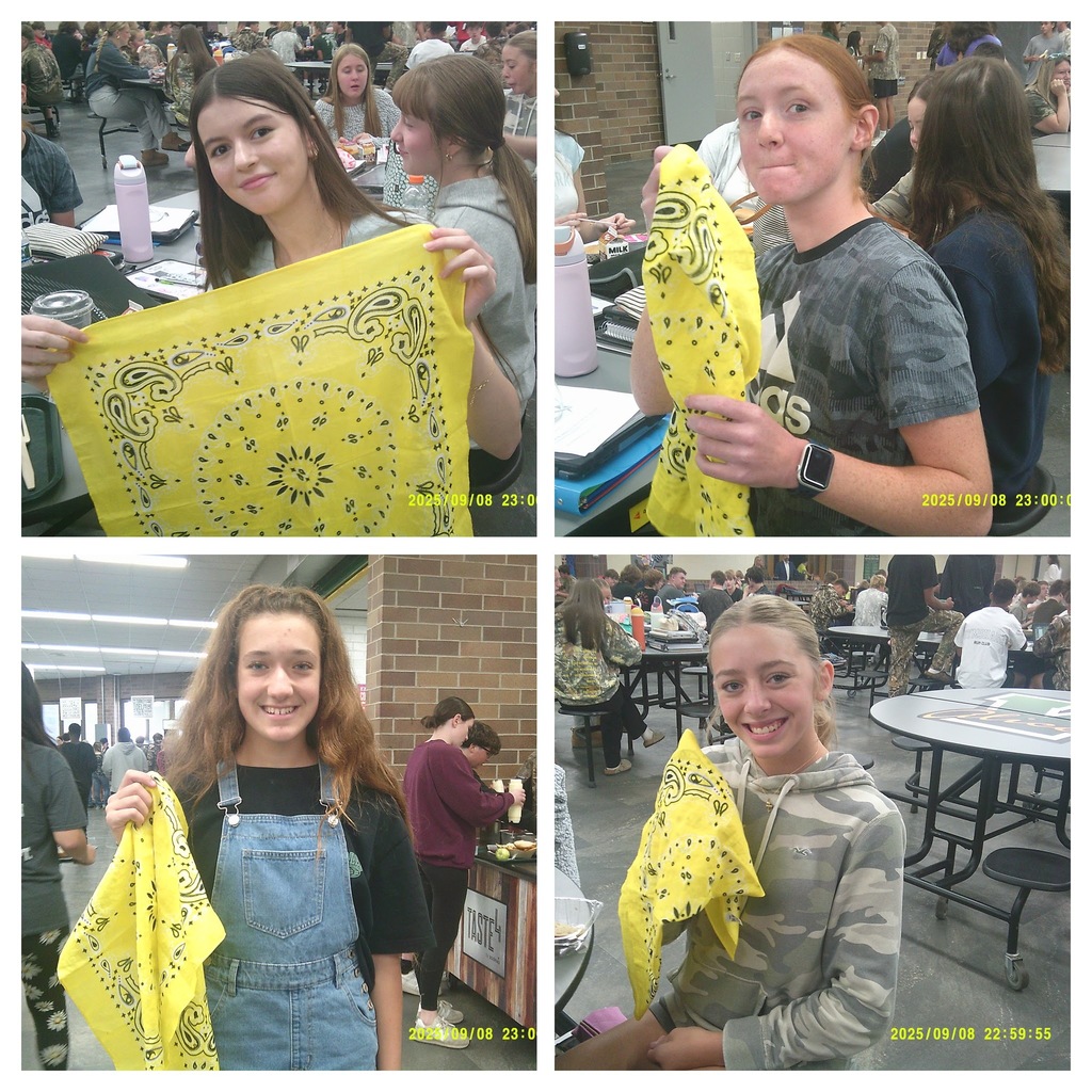 Class Flag