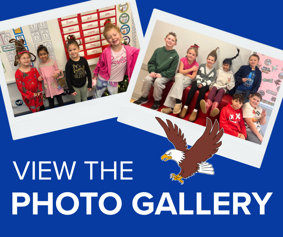 VIEW THE PHOTO GALLERY