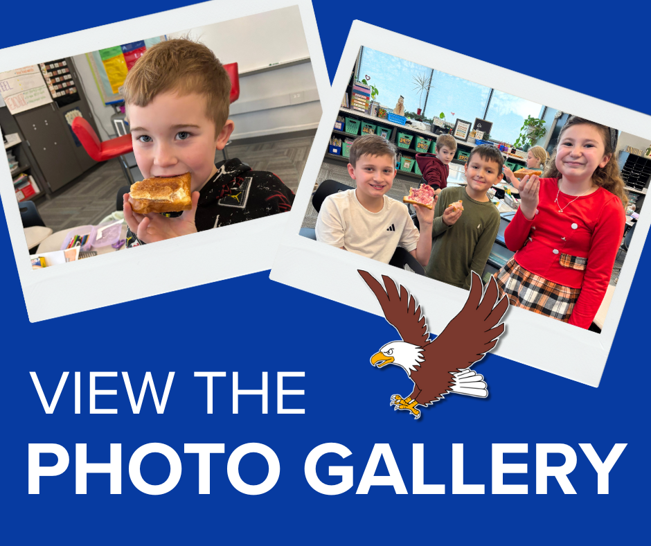 View The Photo Gallery (2)