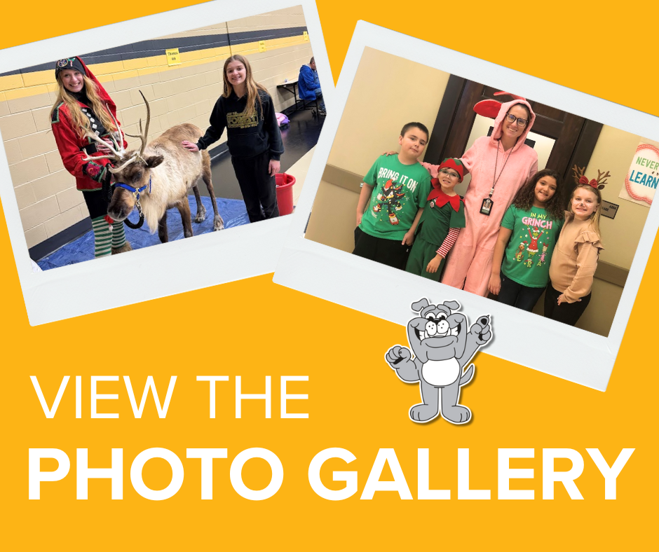 View The Photo Gallery (1)