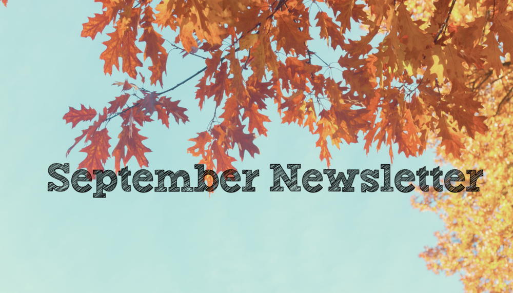 Last Newsletter