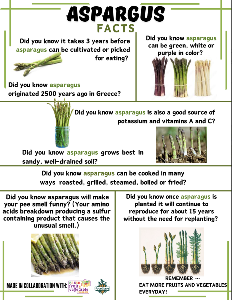 asparagus