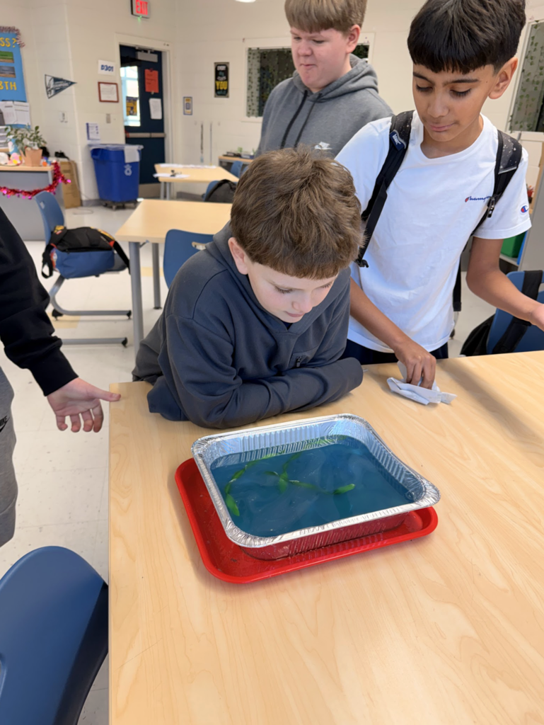 Screenshot 2026-01-22 at 10