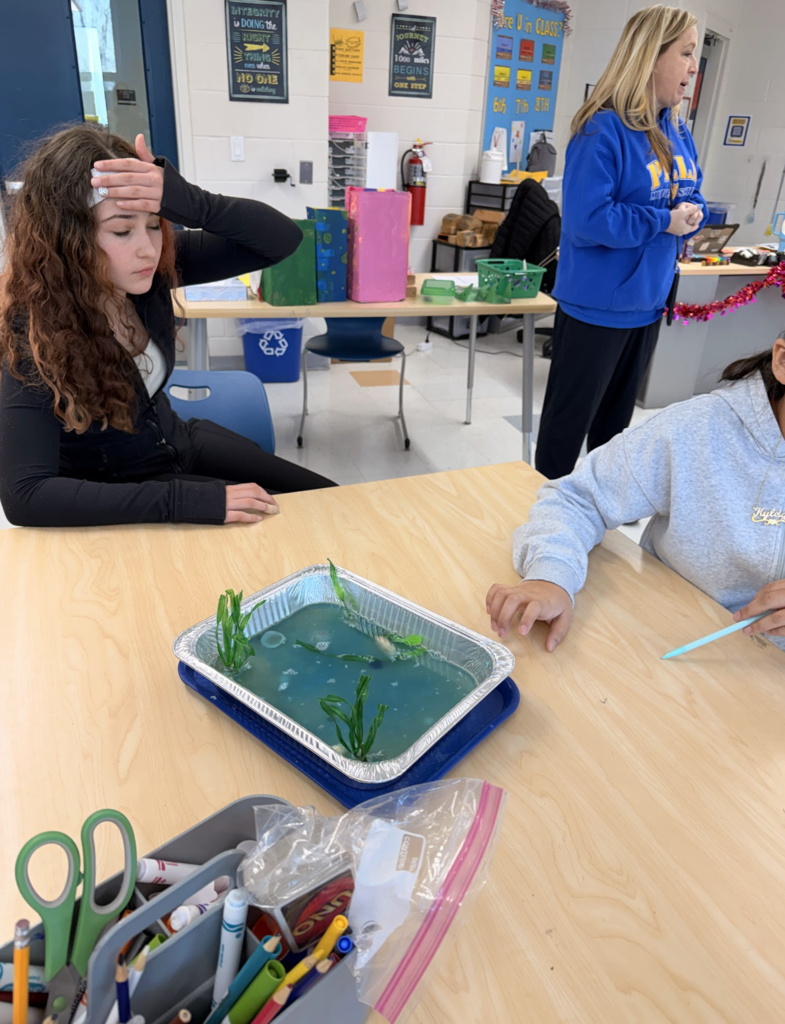 Screenshot 2026-01-22 at 10