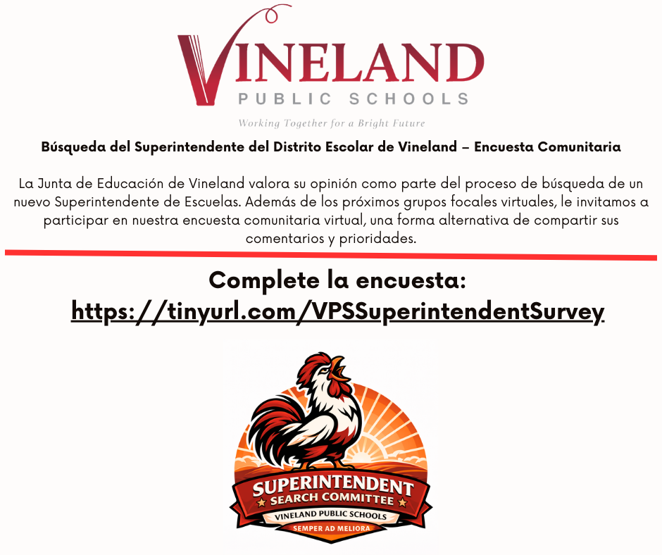 SuperintendentSearchSurveySpanish
