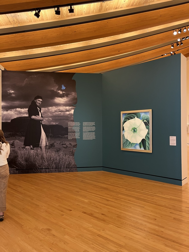White Flower No 1, Georgia O’Keeffe, Crystal Bridges Museum of American Art, Bentonville, AR
