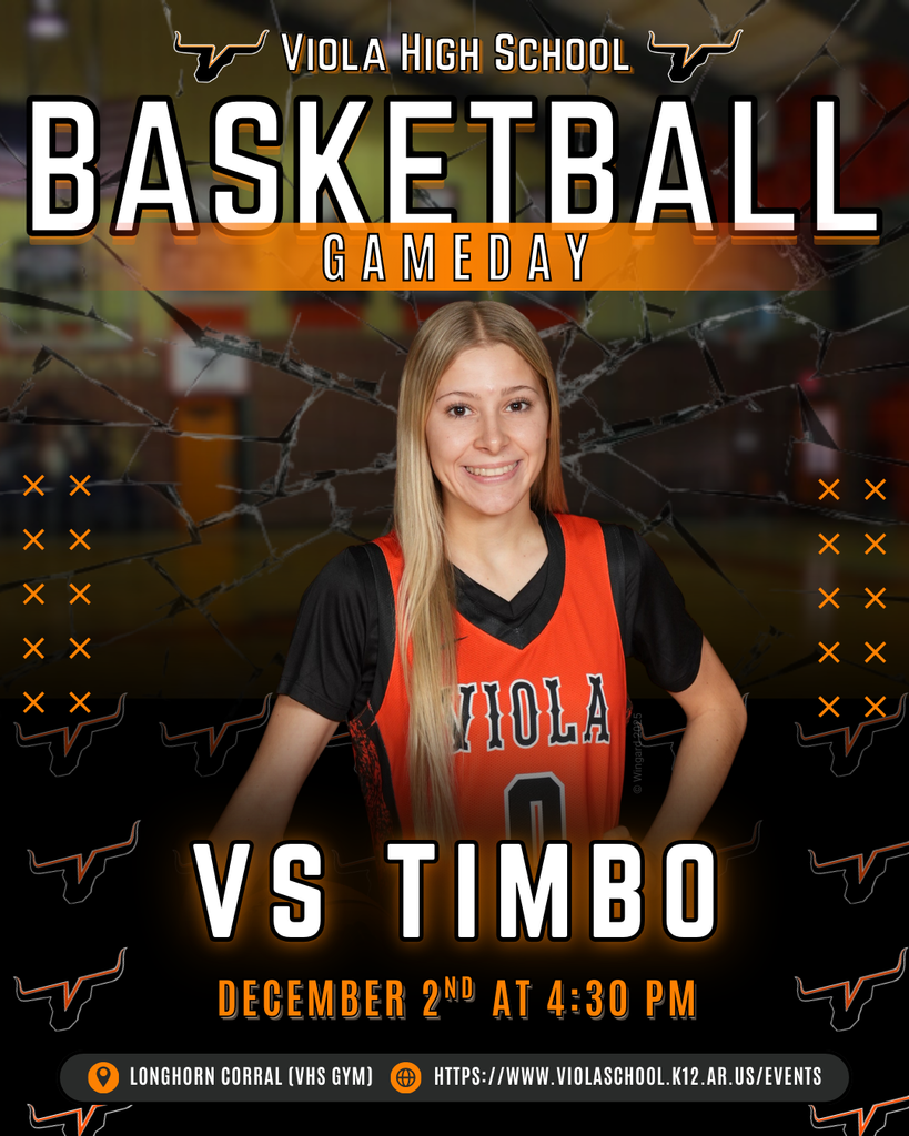 Game Day Timbo