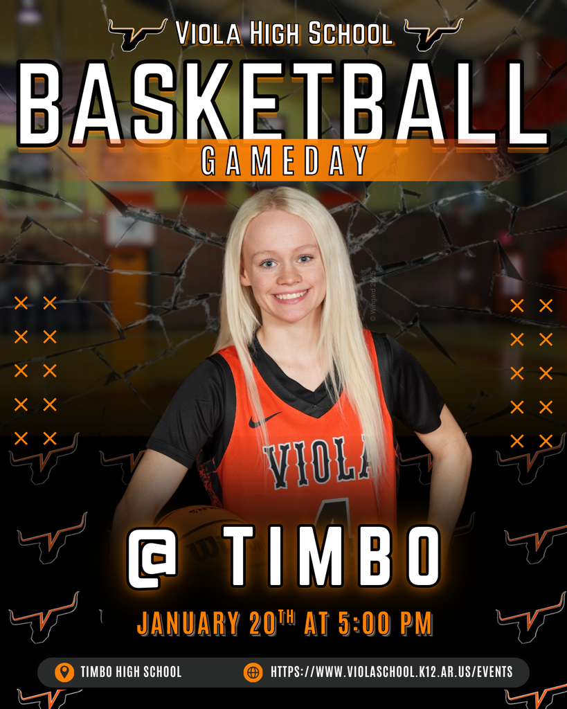 Basketball game at Timbo