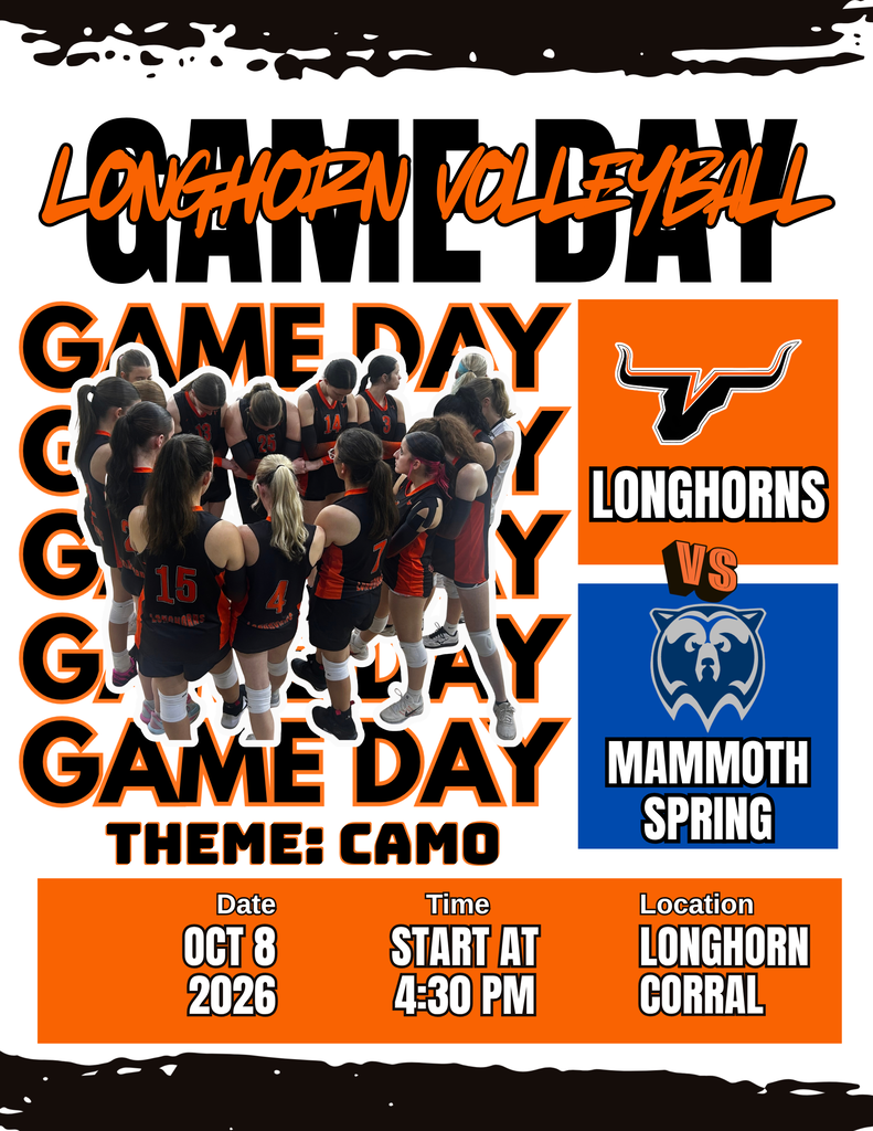 Volleyball game day