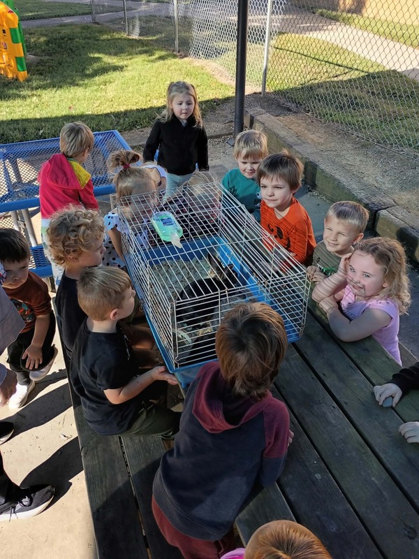 Preschoolers look at rabbits that a local farmer brought in.