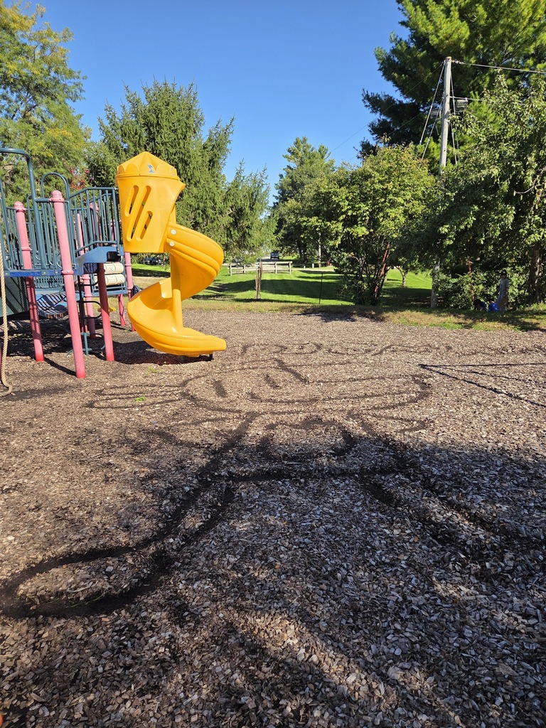 drawing in the woodchips