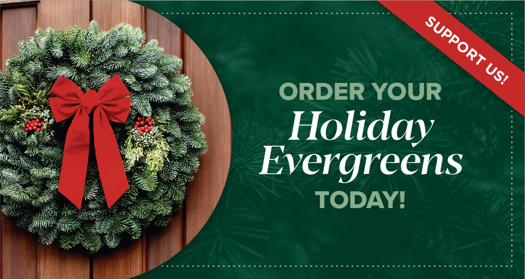 Order Your Holiday Evergreens Today!