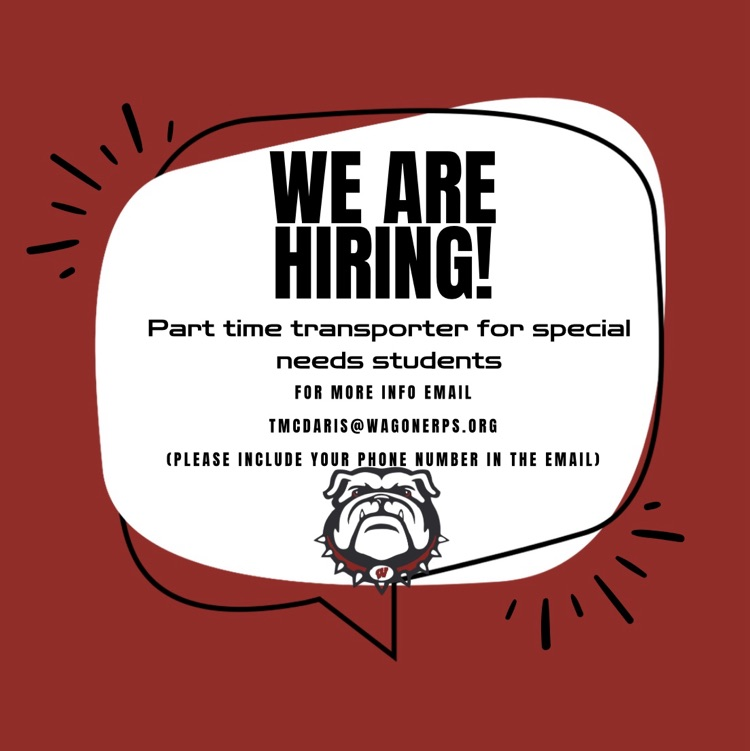 we are hiring a transporter for special needs students