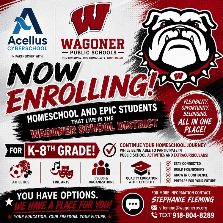 new cyberschool option