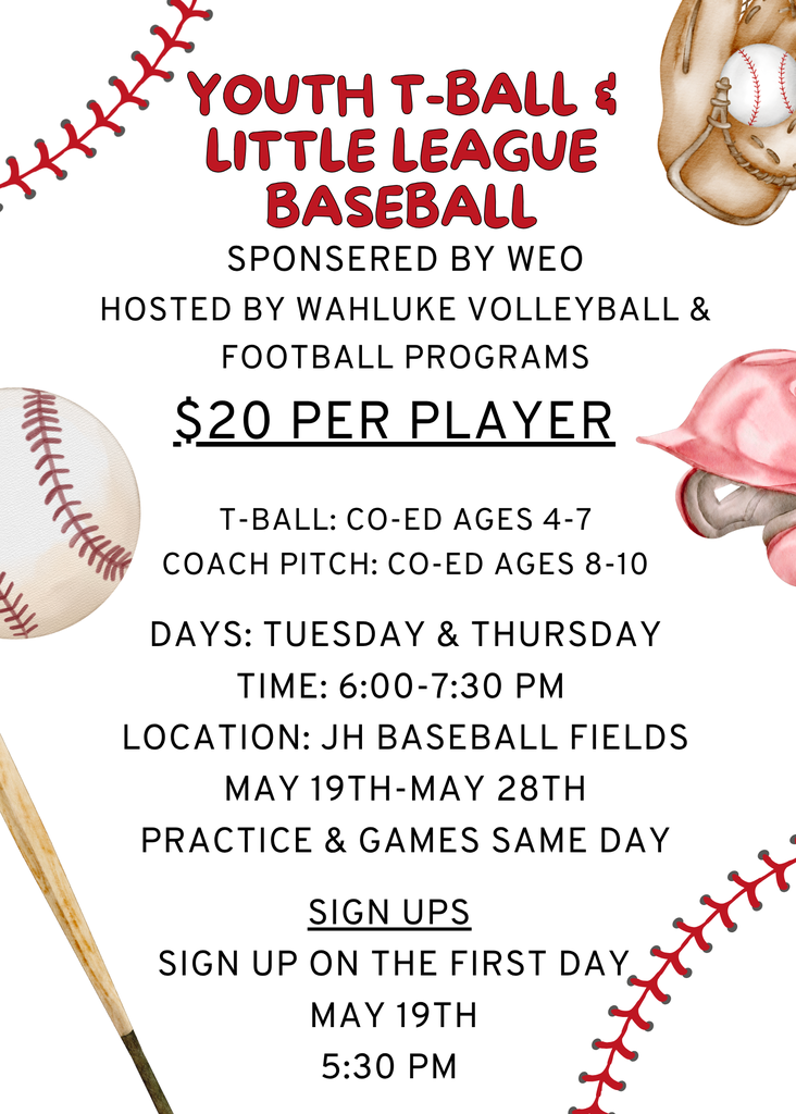 Baseball flyer