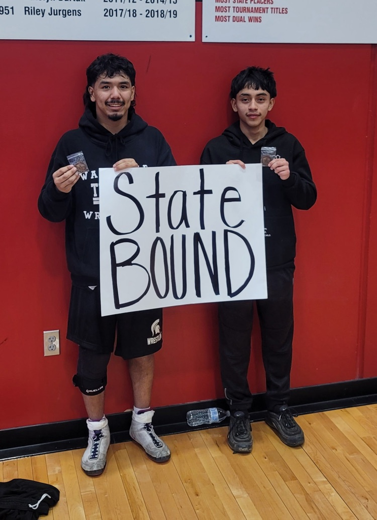 district wrestling picture