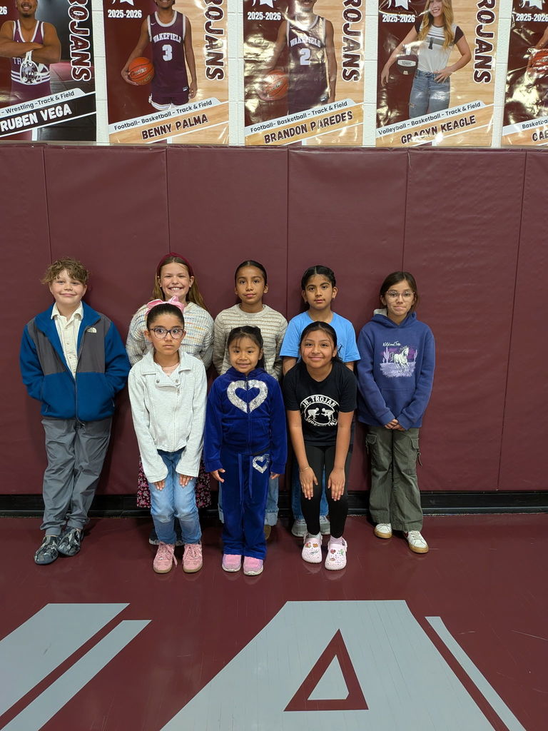 P2 Elementary Picture