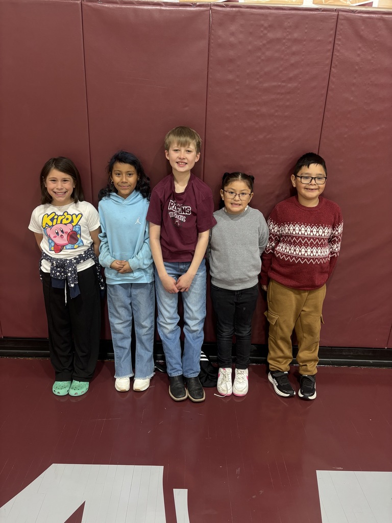 P2 Elementary Picture