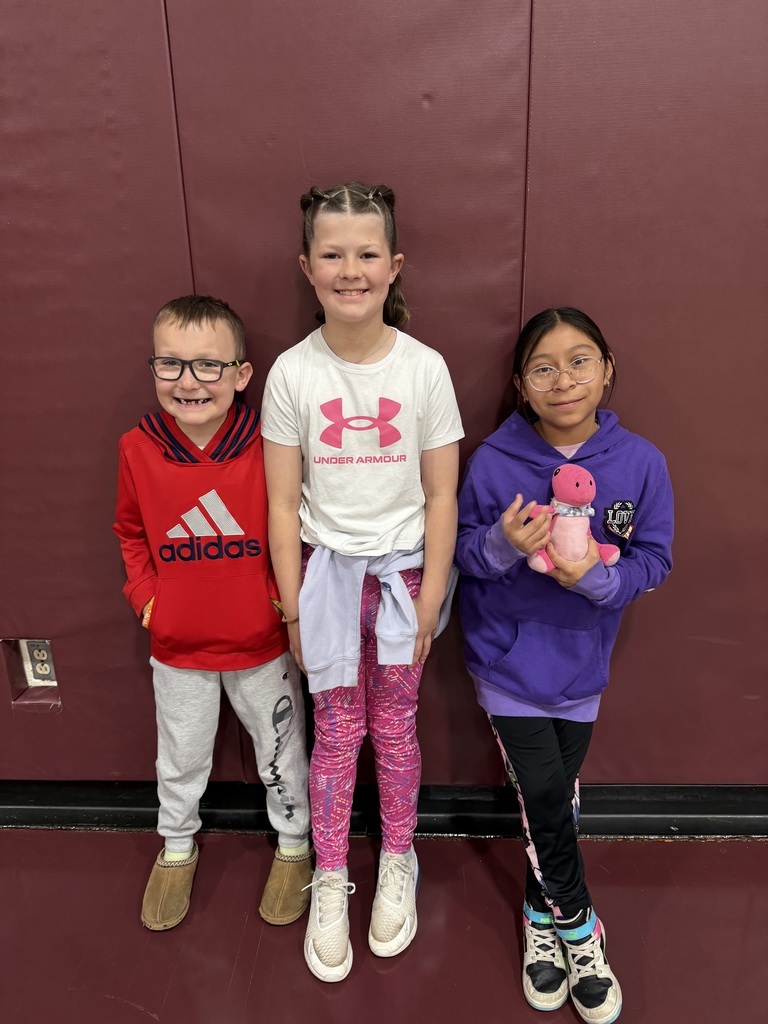 P2 Elementary Picture