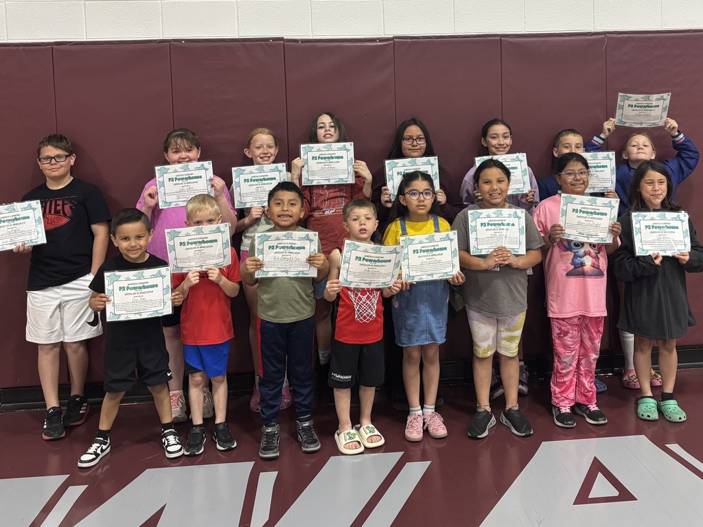 P2 Powerhouse Award - Elementary 