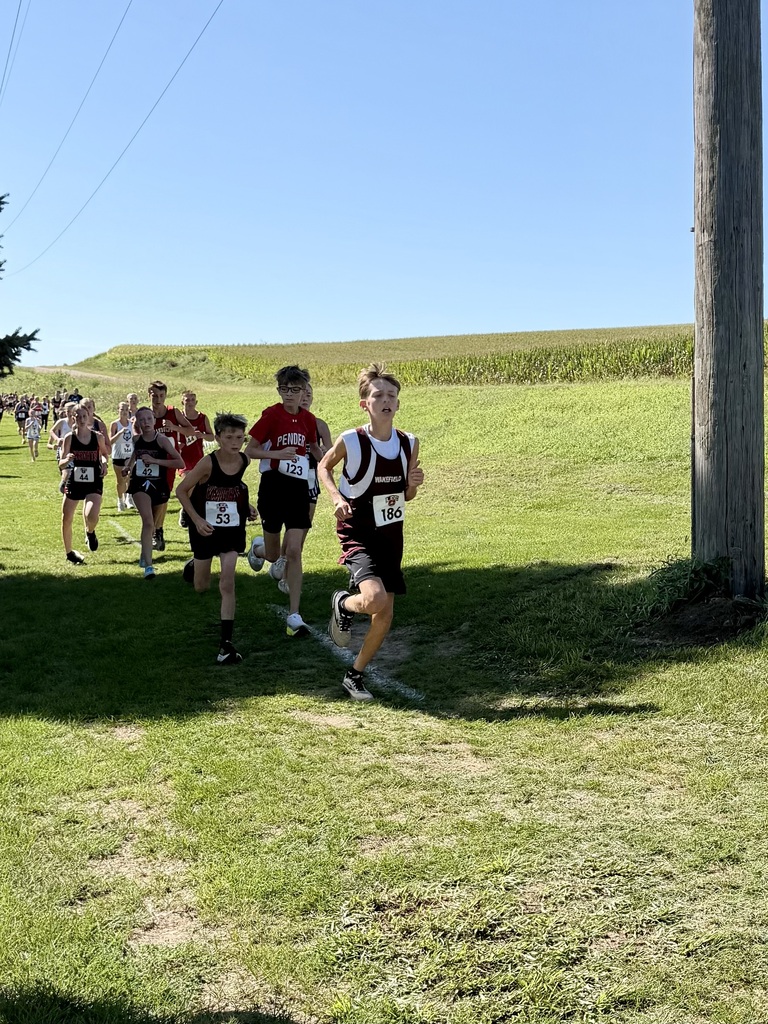 JH & HS cross country team pictures from LCC