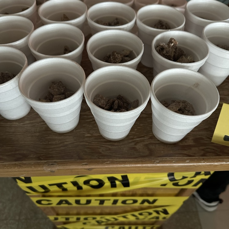 Life Skills Halloween