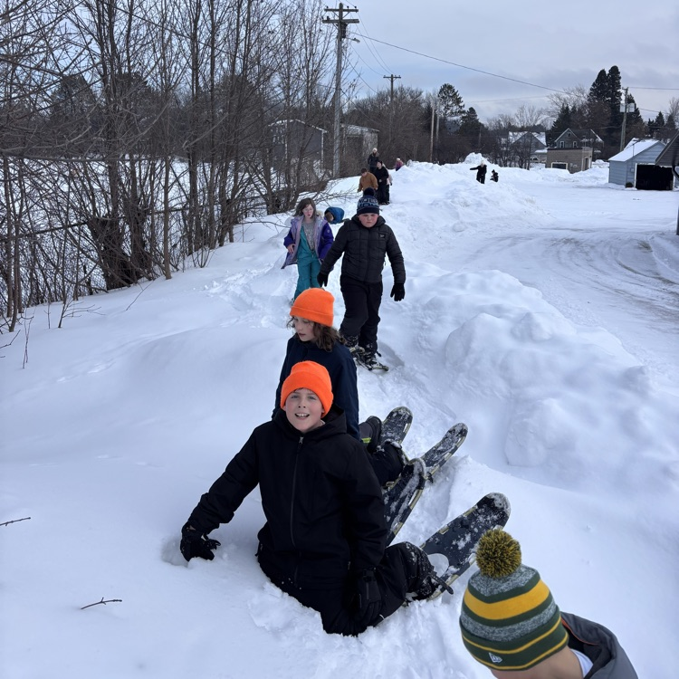 students snowshoeing 