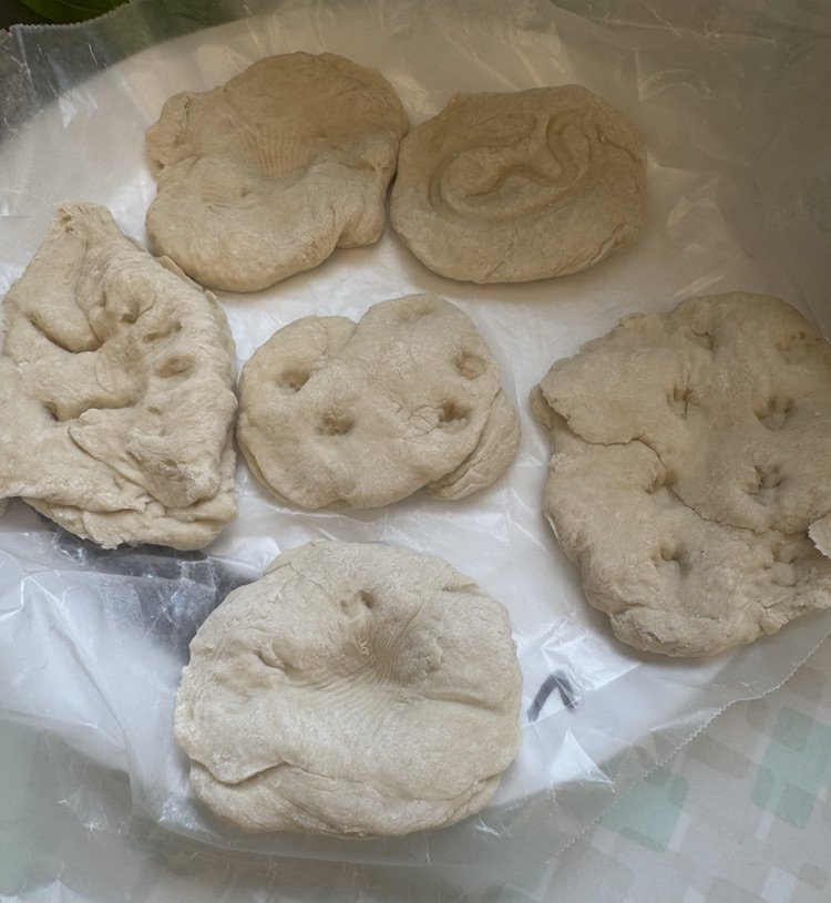 fossils
