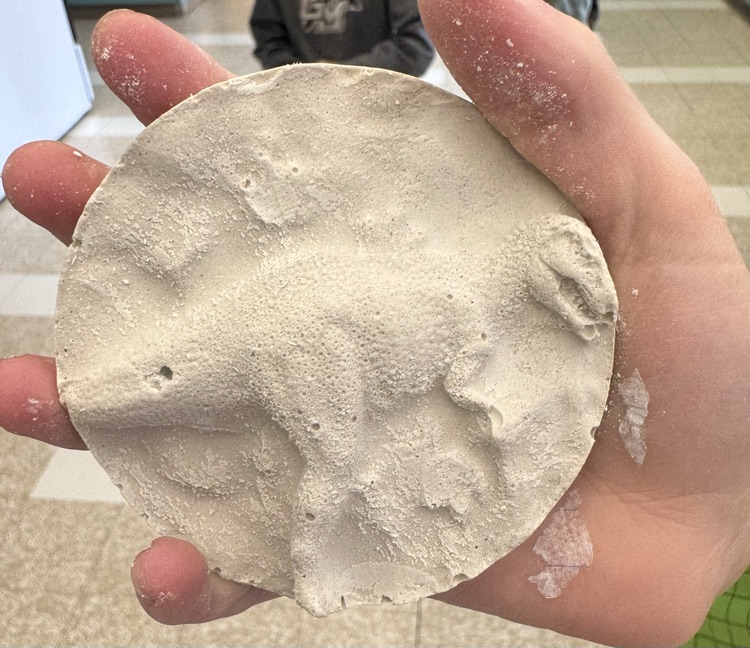 fossils