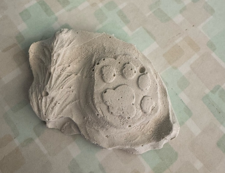 fossils