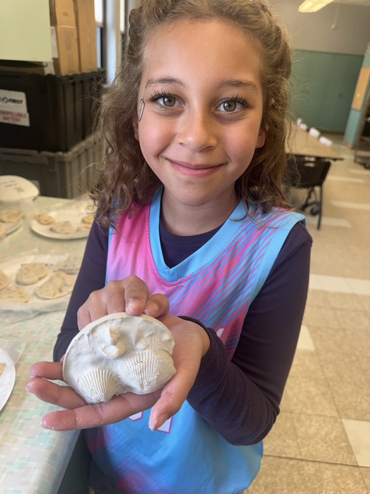 fossils