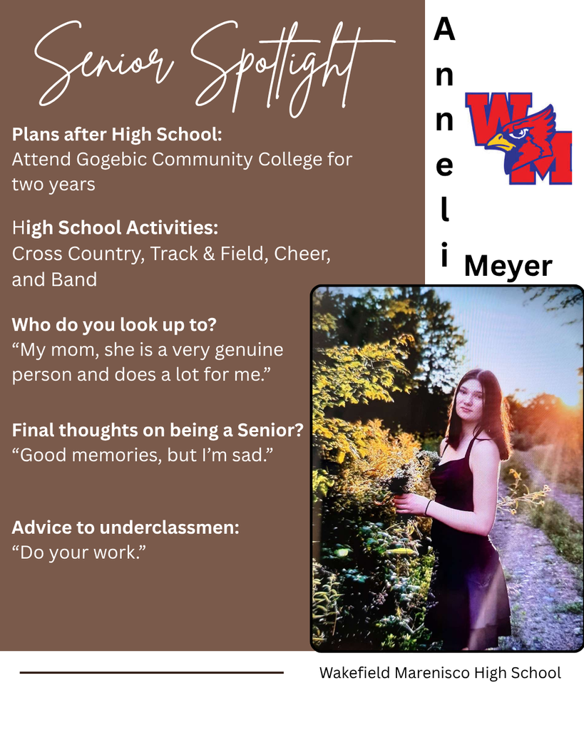 Anneli's Info