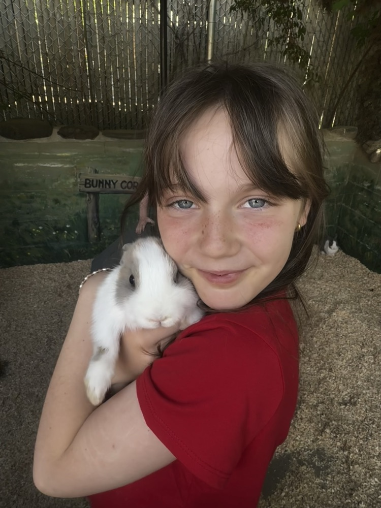 bunny 