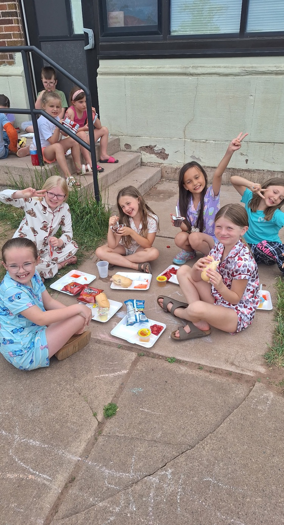all school picnic