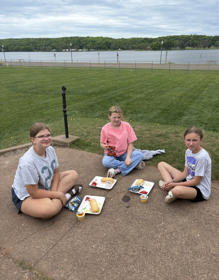 all school picnic