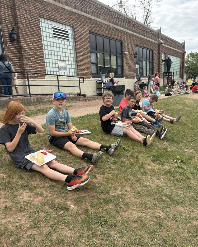 All school picnic