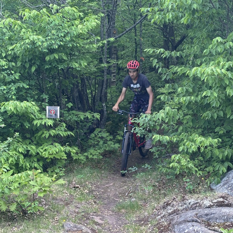 students biking
