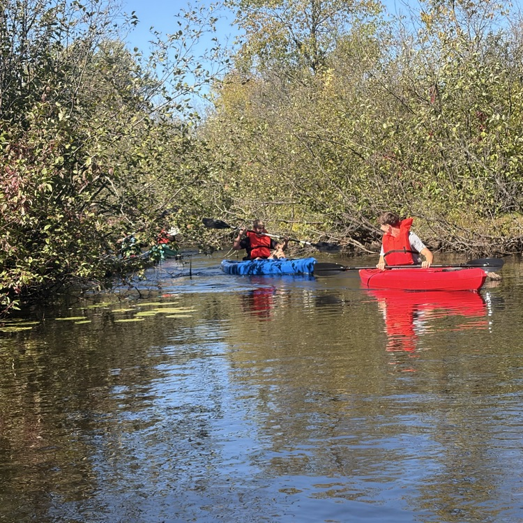 students paddling