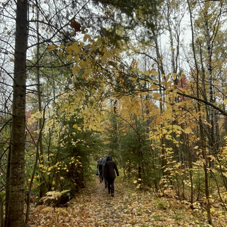 students at the park