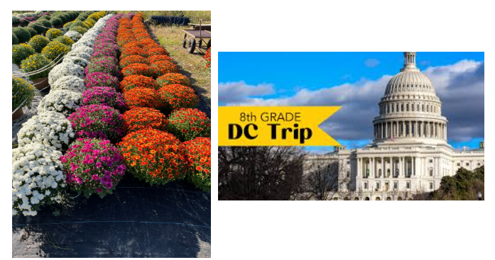 a graphic of rows of mums white, pink, and orange then a picture on the side of the White House with the words8th Grade DC Trip