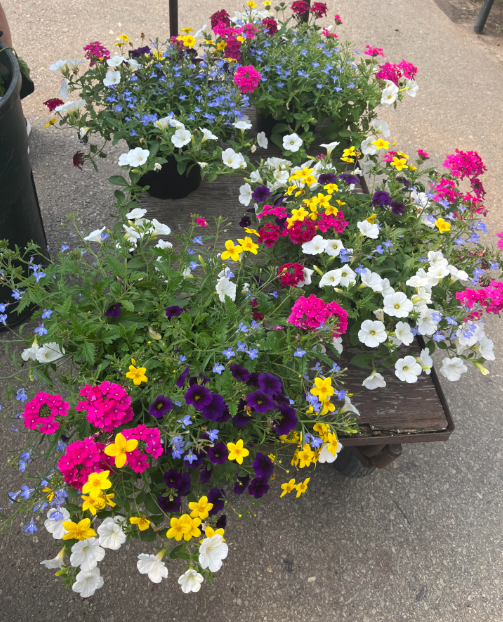graphic of planters with different flowers