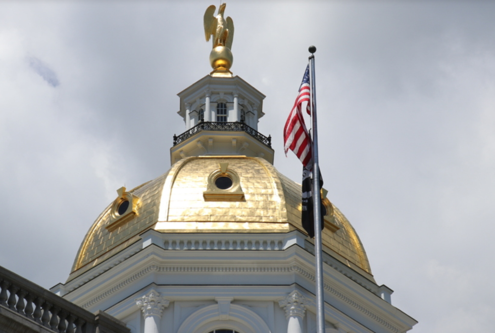 a graphic of the Capital Building and American flag
