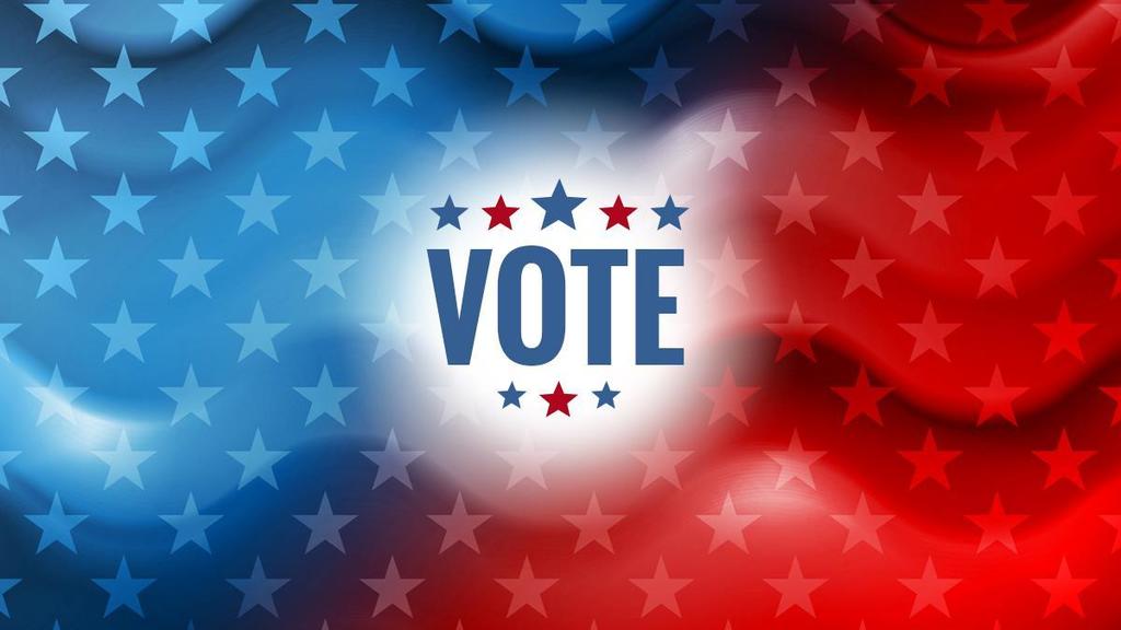 a graphic of a flag with writing on it saying vote